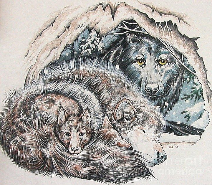 720x628 Father Wolf Drawing By Kimberlee Ketterman Edgar