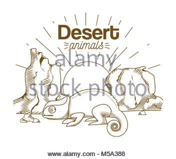 353x320 Desert Animals Hand Drawing Cartoon Stock Vector Art