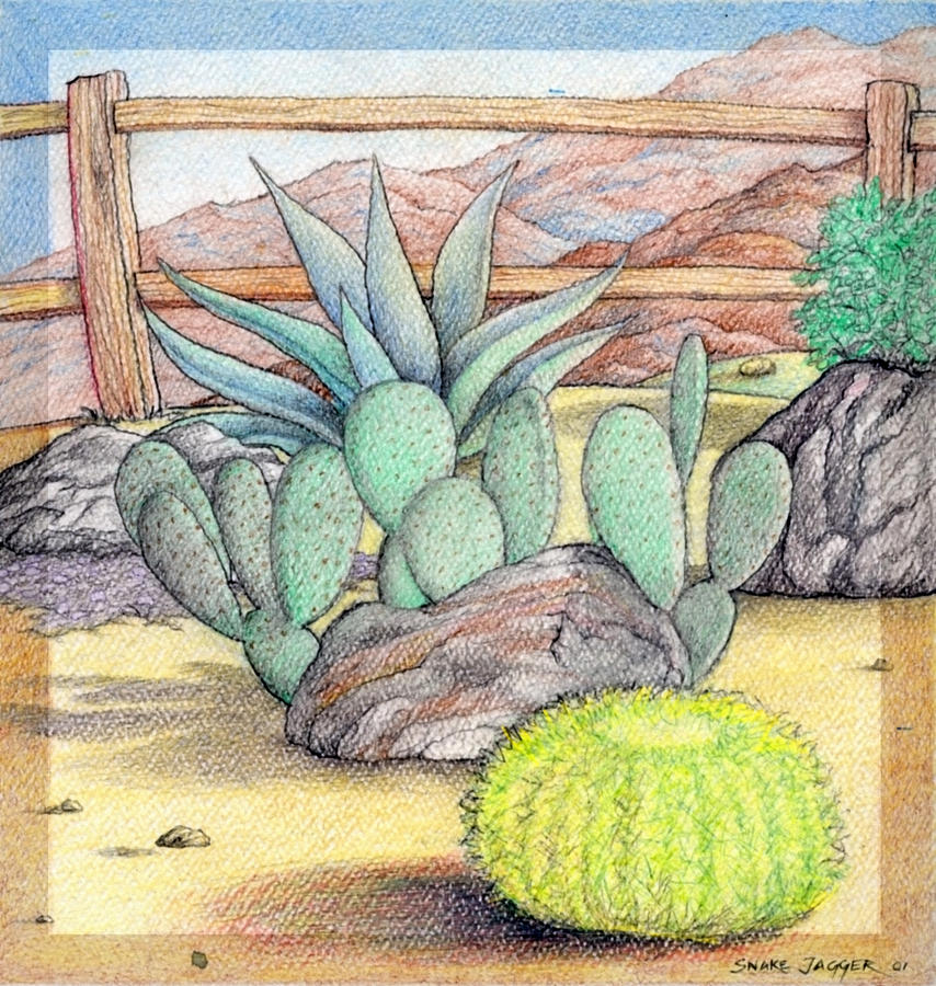 854x900 Living Desert Drawing By Snake Jagger