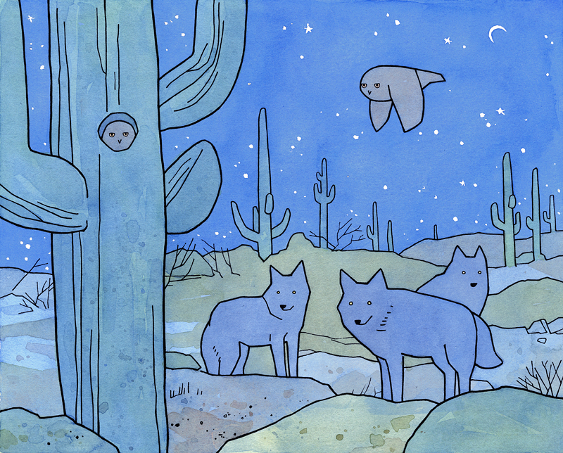 800x644 Desert 100 Owls