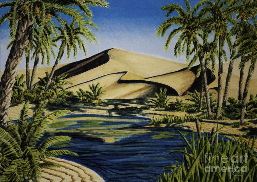900x639 Desert Oasis Drawing