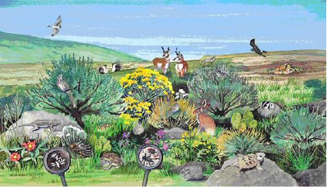 469x270 Seleydavis11