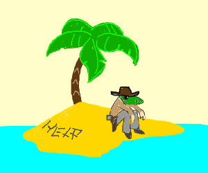 300x250 Lizard Head Cowboy Stranded On A Desert Island