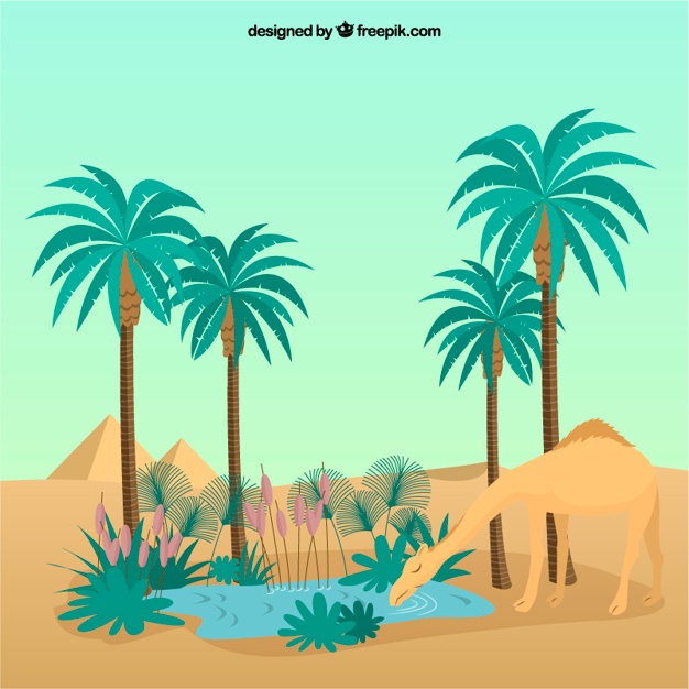 626x626 Oasis Vectors, Photos And Psd Files Free Download