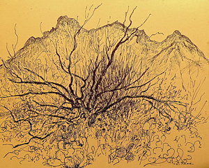 300x241 Desert Scene Drawings Fine Art America