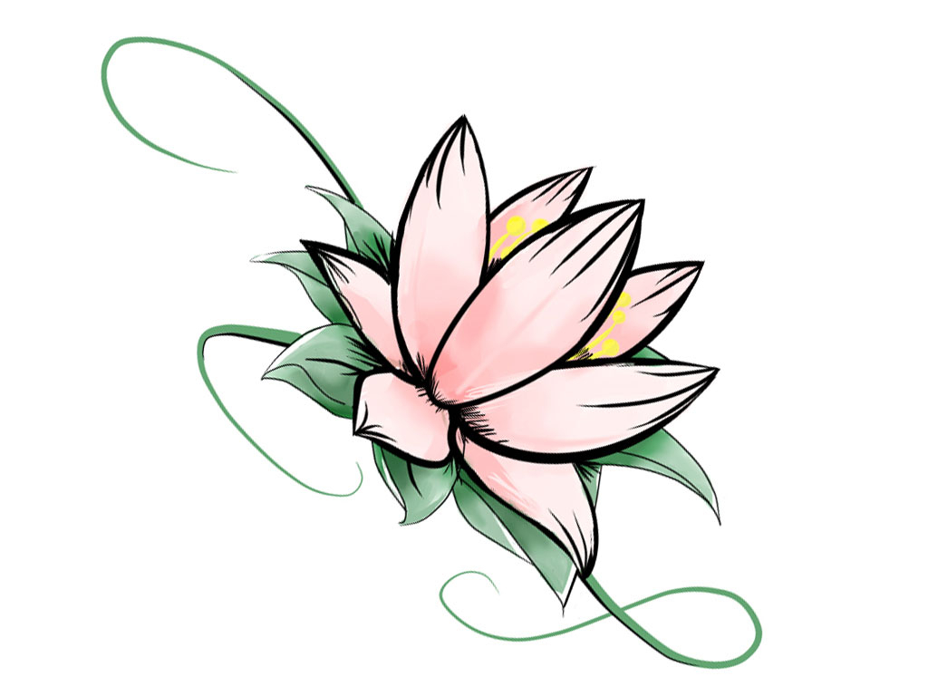 1024x768 Drawings Of Lotus Flowers Flower Draw Lotus Tattoo Designs Best