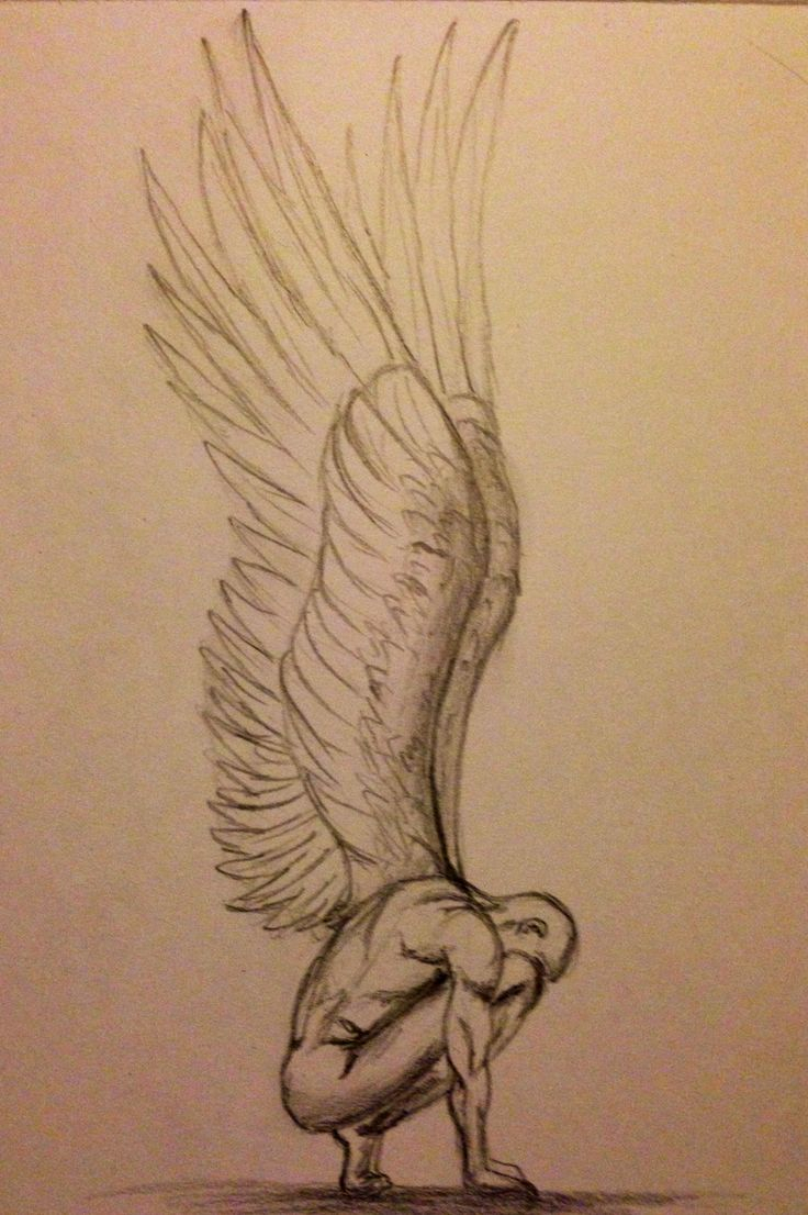 736x1106 Drawing Of Angel Drawn Angel Detailed