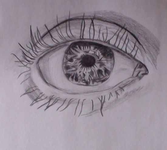 550x493 Drawing Of Detailed Eye Artillustration