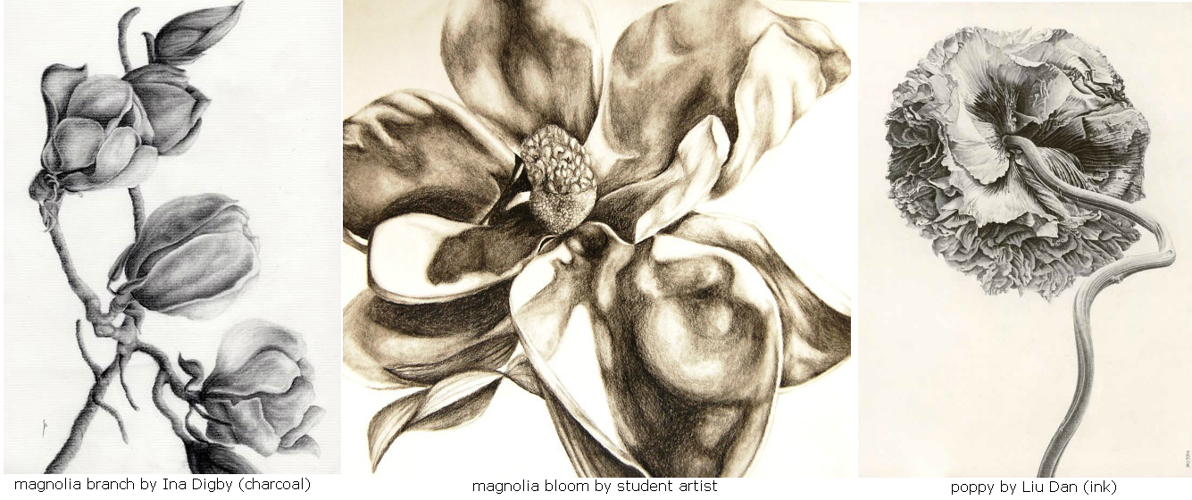 1335x560 Fundamentals Of Tonal Drawing