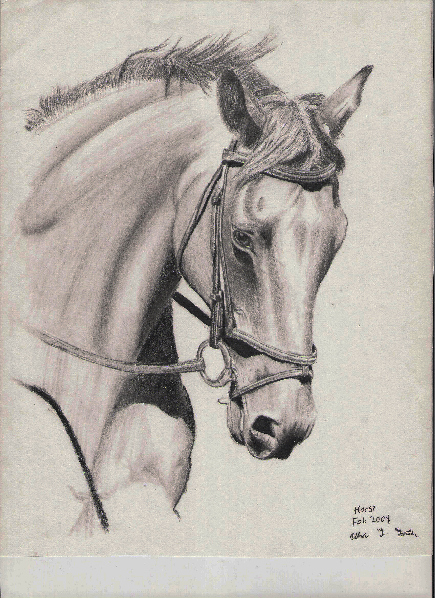 1700x2338 Horse Drawing By Et Foster