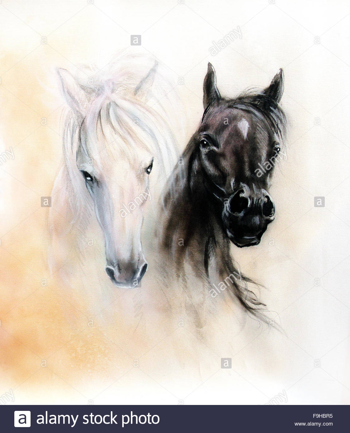 1123x1390 Horse Heads, Two Black And White Horse Spirits, Beautiful Detailed