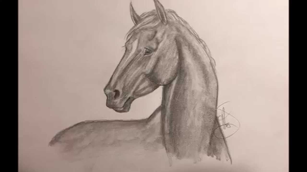 1280x720 How To Draw A Realistic Horse Head