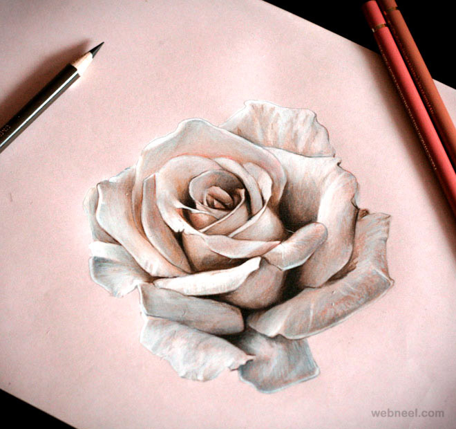 660x620 25 Beautiful Rose Drawings And Paintings For Your Inspiration