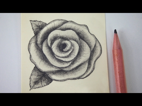480x360 How To Draw Roses