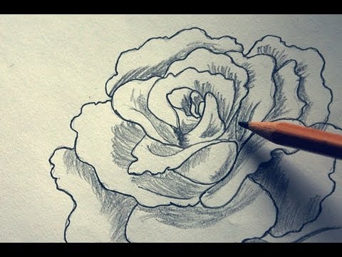 480x360 How To Draw A Very Beautiful, 3d, Realistic, Delicate, Detailed
