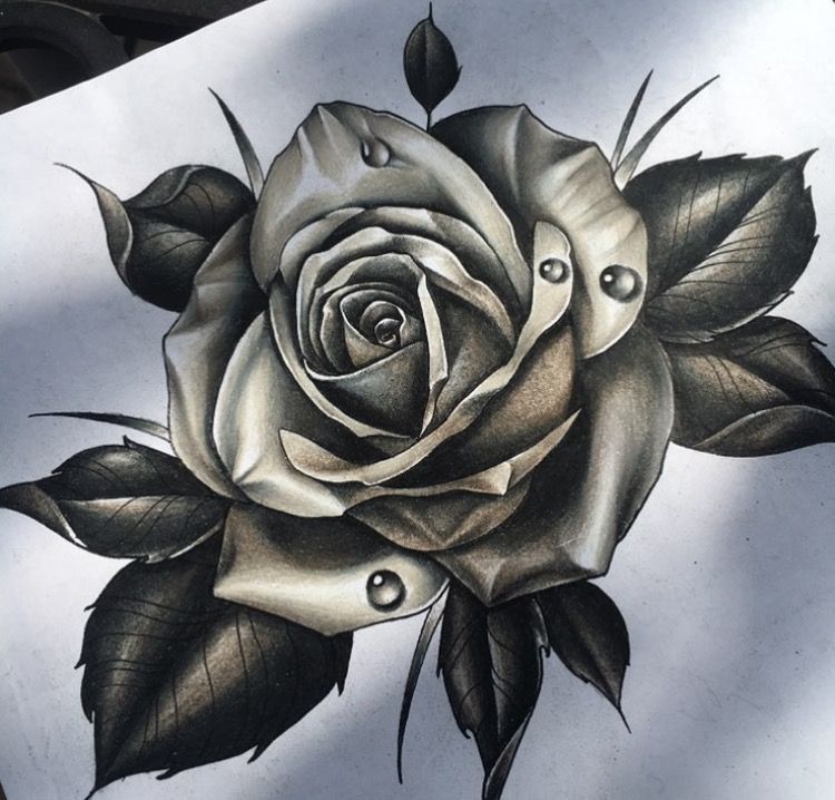 Rose drawing - silopetrade