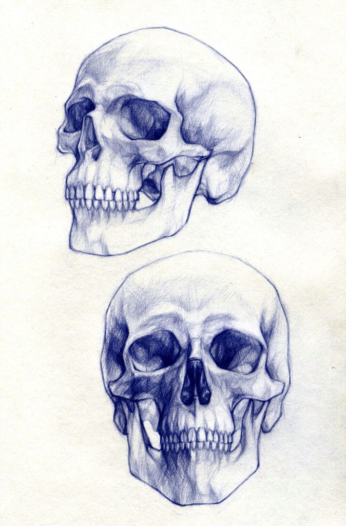 674x1024 Skull Drawings 1 Skulls Skull Drawings, Drawings