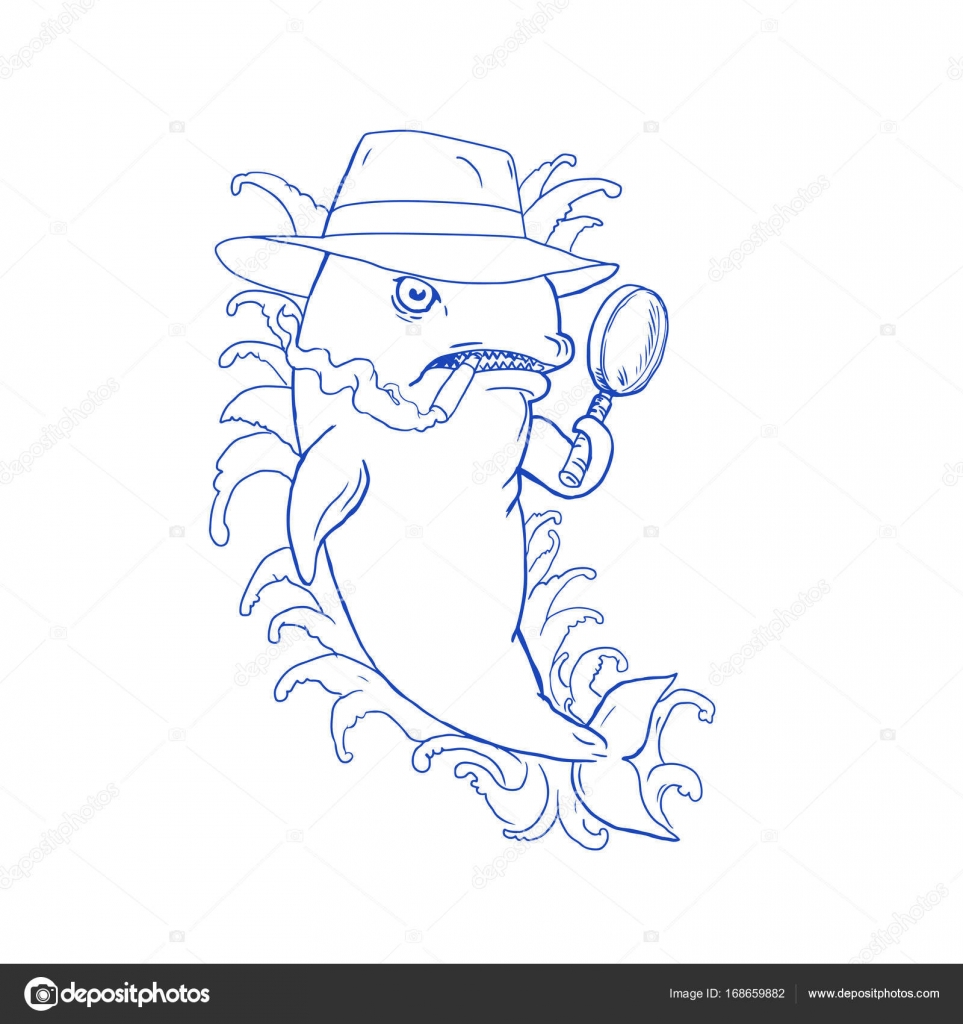 963x1024 Detective Orca Killer Whale Drawing Stock Vector Patrimonio
