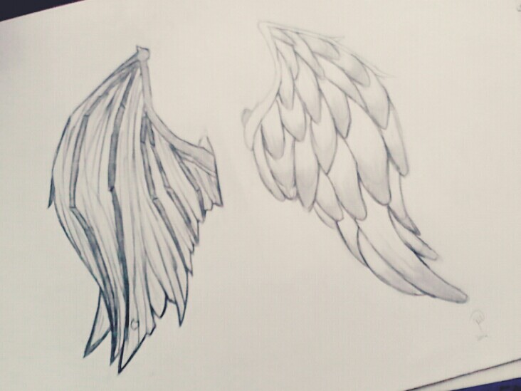 Devil Wings Drawing at GetDrawings | Free download