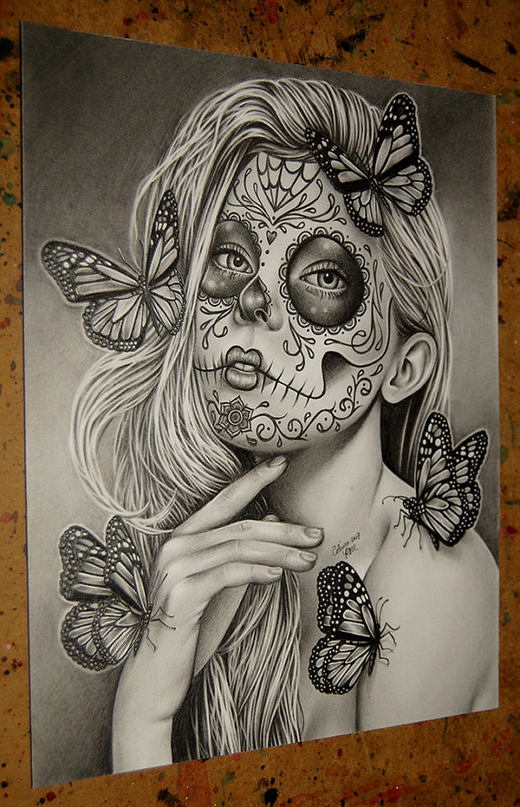 570x884 Original Drawing Mariposa 8x10 In Pencil Drawing By Carissa