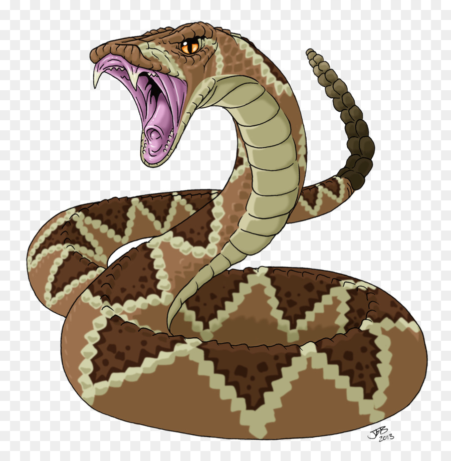 Diamondback Rattlesnake Drawing at GetDrawings | Free download