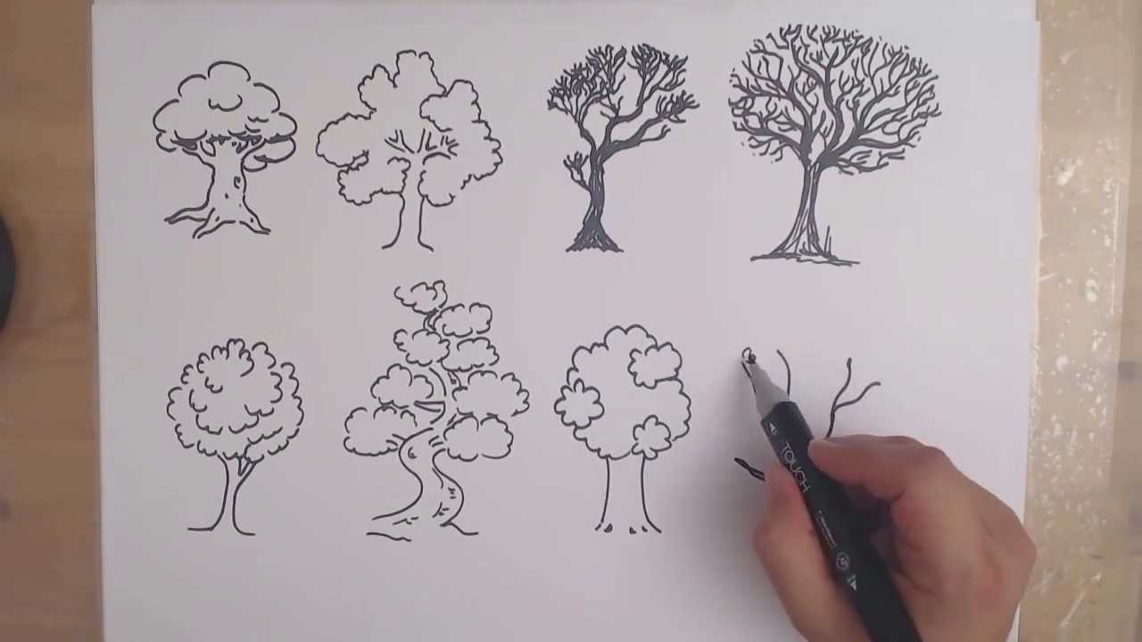 1280x720 How To Draw A Tree