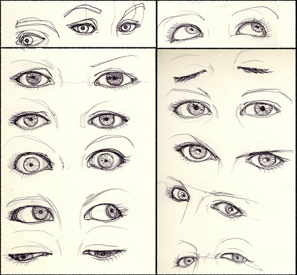 Different Types Of Eyes Drawing at GetDrawings | Free download