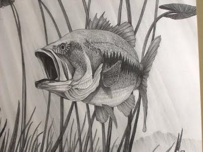 400x299 Image Result For Tonal Drawings Of Fishes Sketch Book
