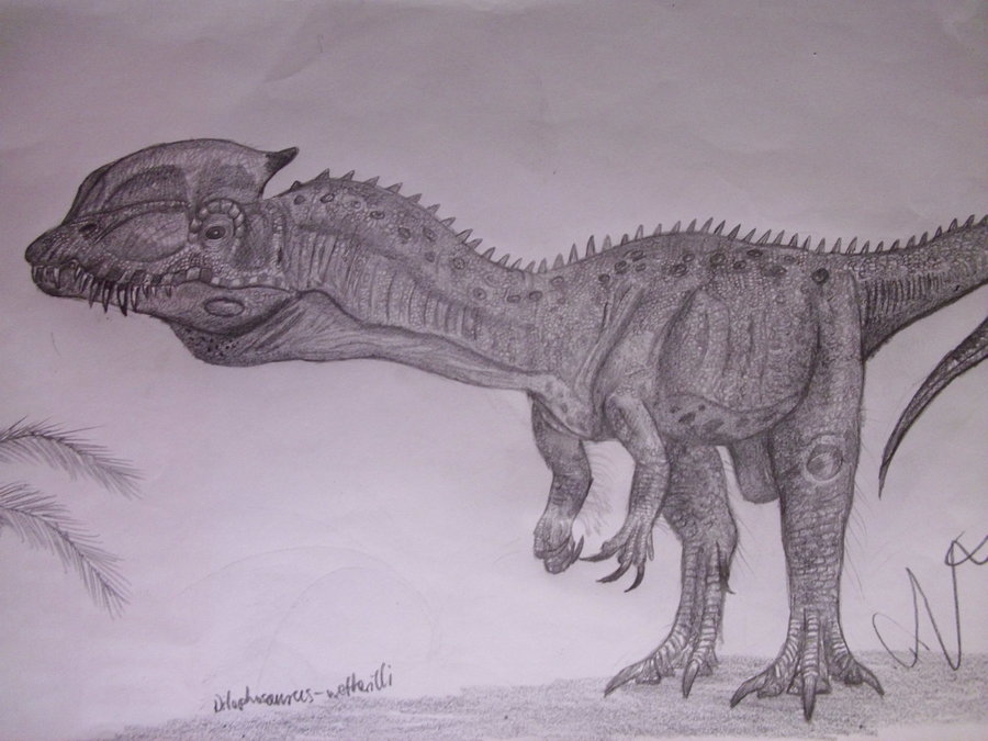 Dilophosaurus Drawing at GetDrawings | Free download