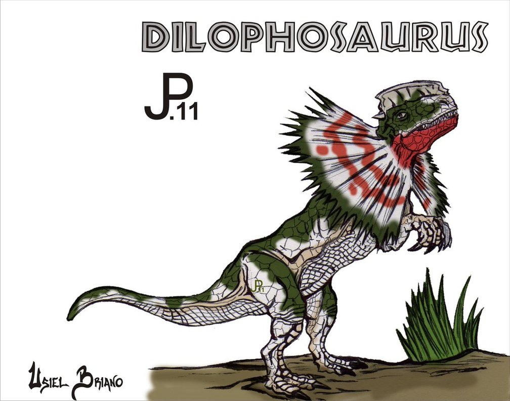 1008x792 Jurassic Park Dilophosaurus By Usielb