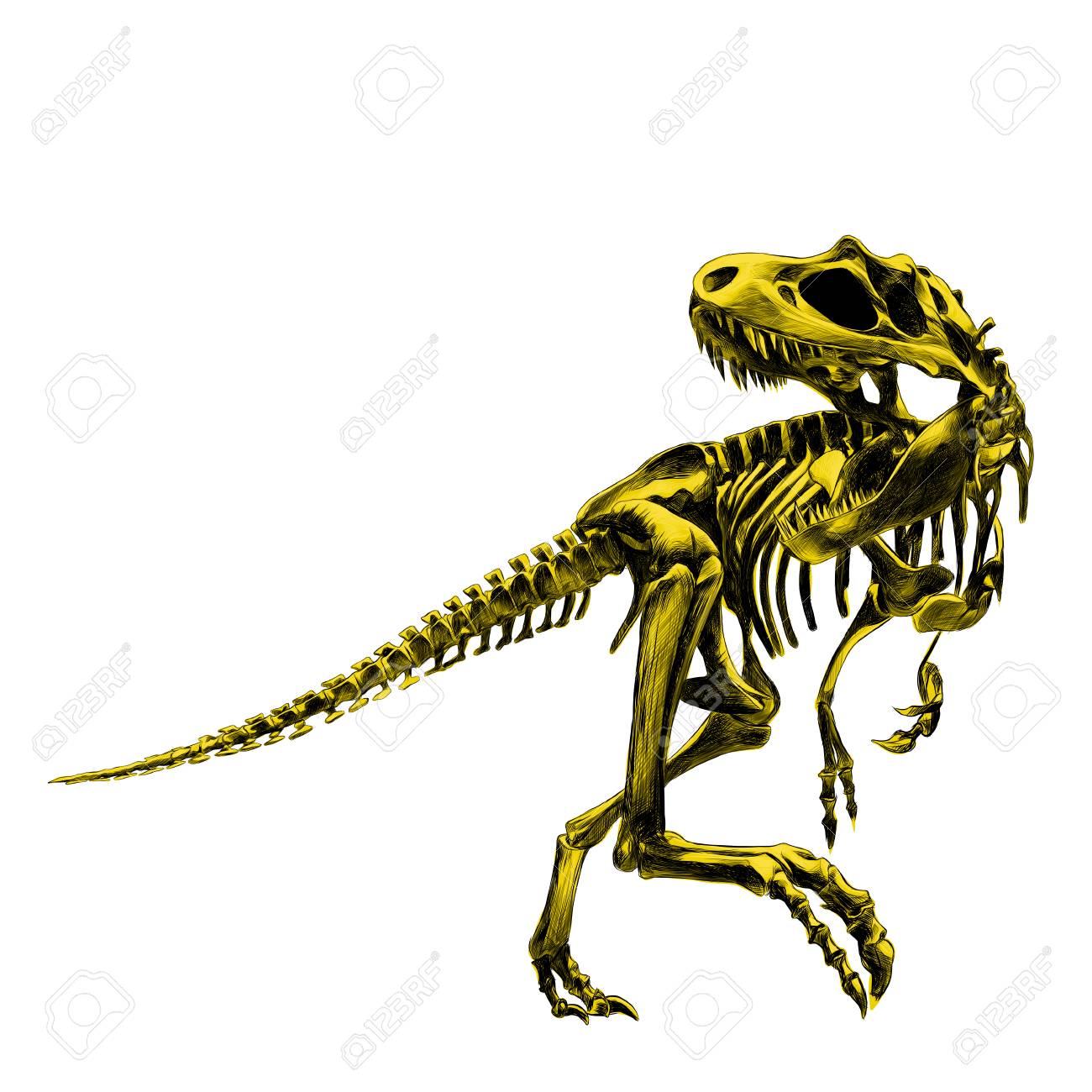 Dinosaur Bone Drawing at GetDrawings | Free download