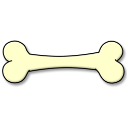 250x250 Cartoon Bone Drawing Clipart Panda