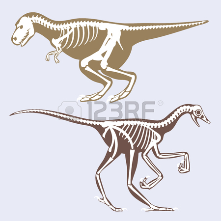 450x450 Dinosaur Skeleton Tyrannosaurus , Graphics Sketch Vector Black
