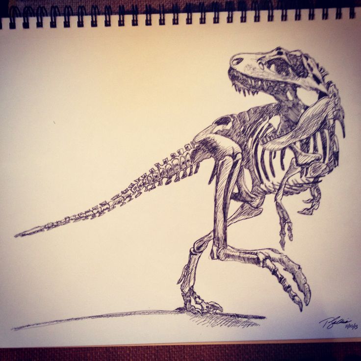 736x736 Dinosaur Skull Tattoo