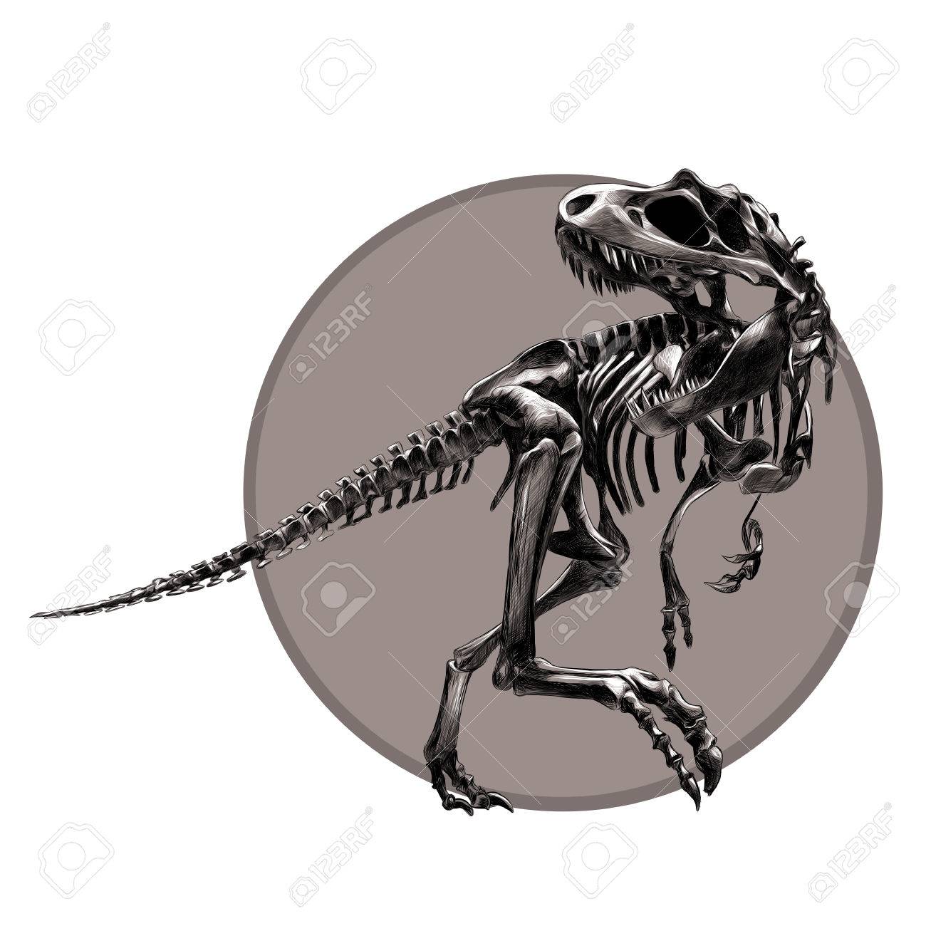 1300x1300 Dinosaur Skeleton Tyrannosaurus, Black And White Pattern On