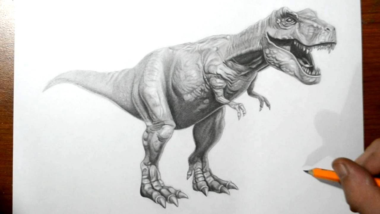 1280x720 How To Draw A T Rex Dinosaur