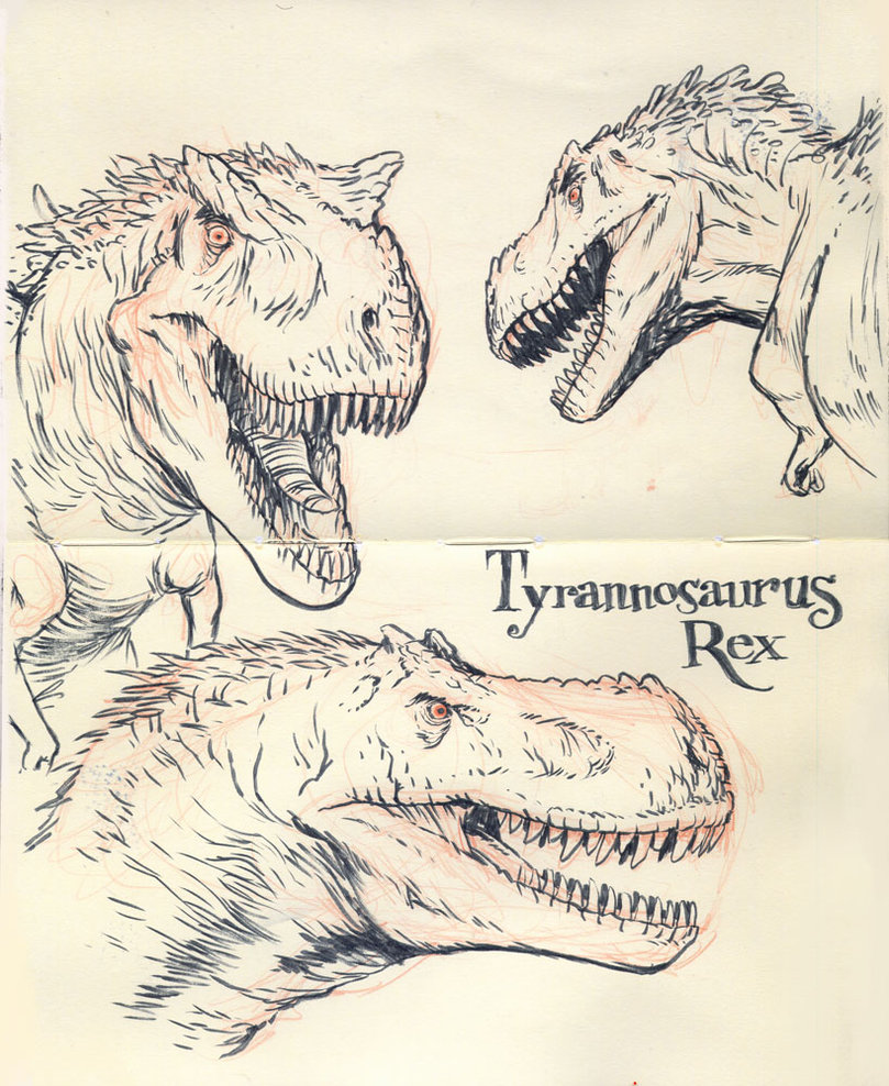 809x988 Tyrannosaurus Rex 01 By Jakeparker