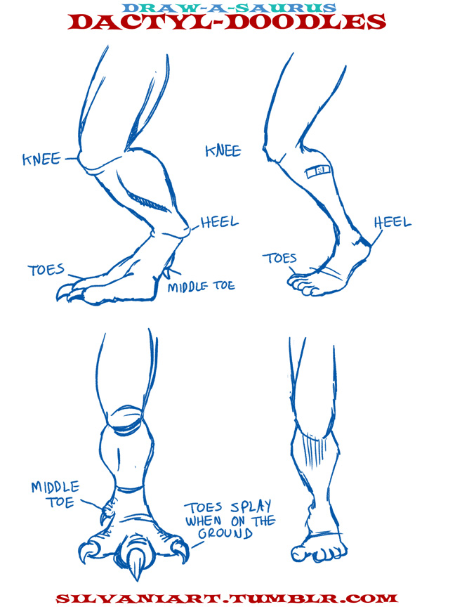 648x864 Dinosaur Rex Legs