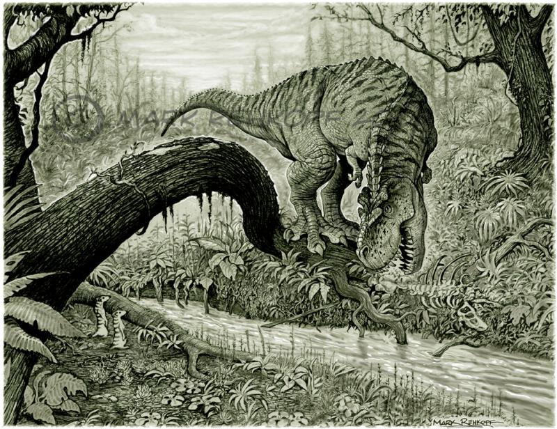 800x616 Scavenging T Rex Pencil Drawing With Digital Color 2007 Mark