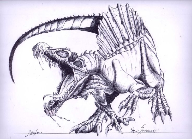 736x534 Spinosaurus (Last Pen Drawing Of Dinosaurs The Amazing