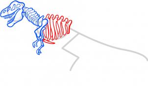 302x176 How To Draw How To Draw A Dinosaur Skeleton, Dinosaur Skeleton
