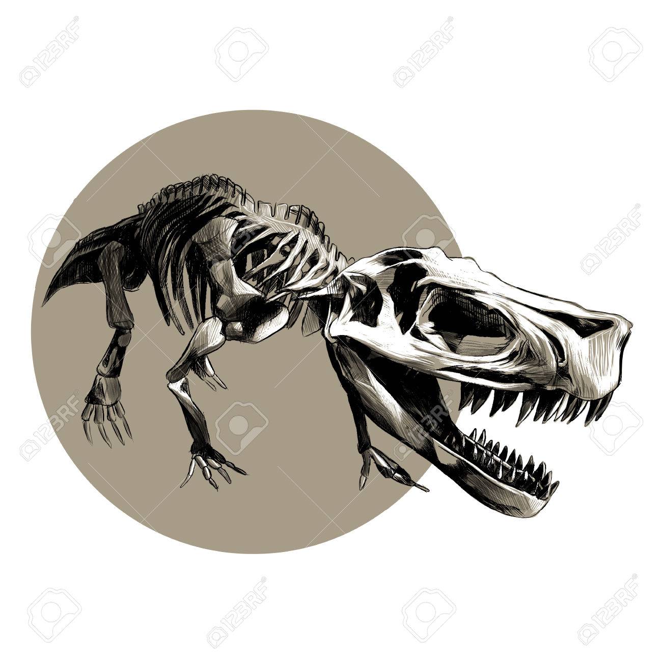 1300x1300 Skeleton Dinosaur T Rex Vector Black And White Drawing Pattern