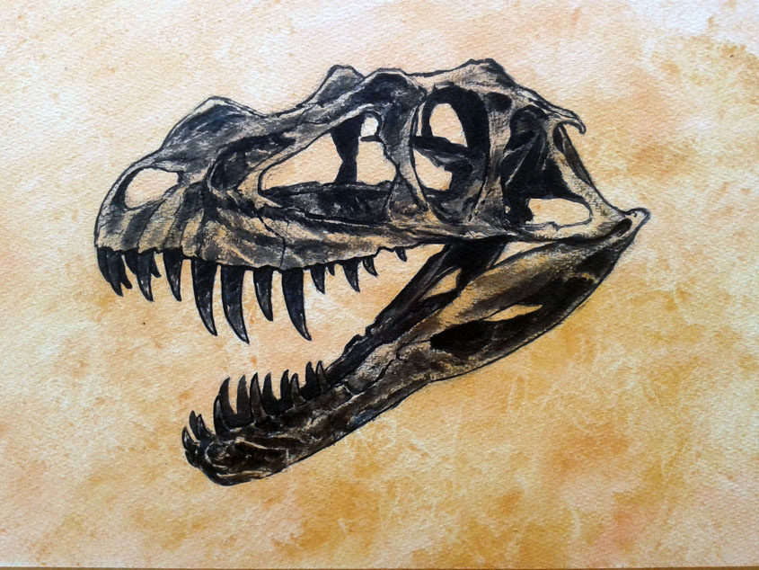 845x634 Dinosaur Skull Ceratosaurus By Watjong