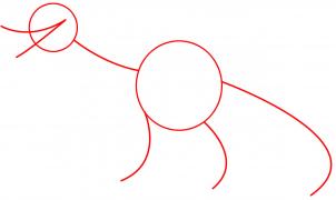 302x180 How To Draw How To Draw A Tyrannosaurus Rex Dinosaur