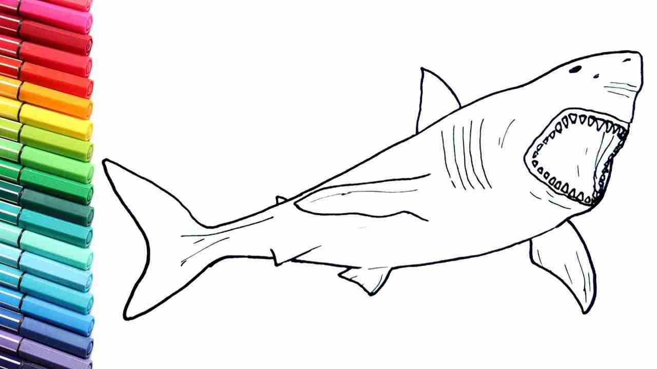 1280x720 Drawing And Coloring Megalodon Shark How To Draw Dinosaurs Color