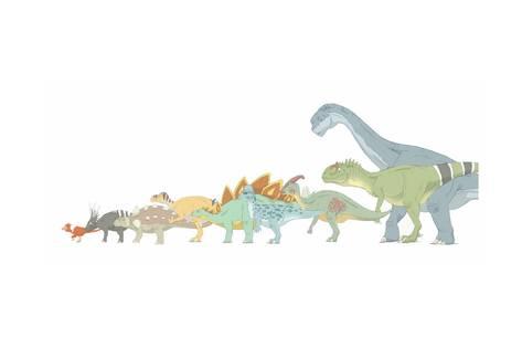 473x315 Pencil Drawing Illustrating Various Dinosaurs And Their