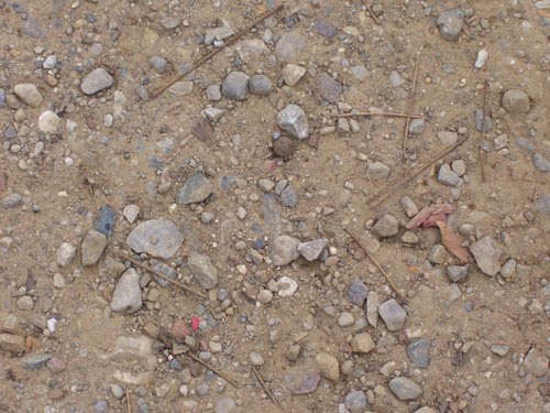 500x375 Drawing Pictures In The Dirt