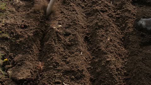 480x270 Person Drawing Lines In The Dirt With A Stick Stock Footage