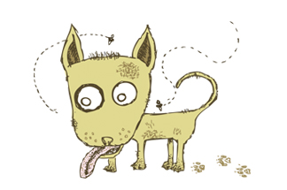 324x215 Work Green Dog Studio