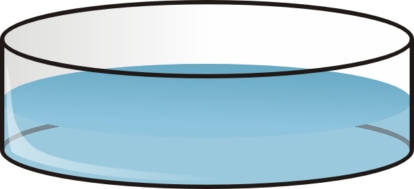 600x275 Petri Dish Clip Art Free Vector In Open Office Drawing Svg ( Svg